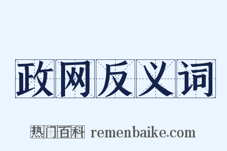 政网反义词是什么意思的图片